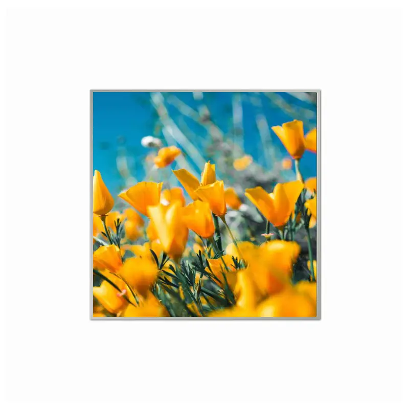 33.2 Inch Square LCD Module 1920×1920 LVDS Display