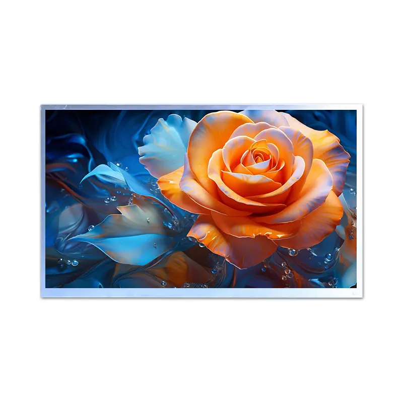 Industrial 17.3 Inch TFT LCD Module with 800 Nits Brightness