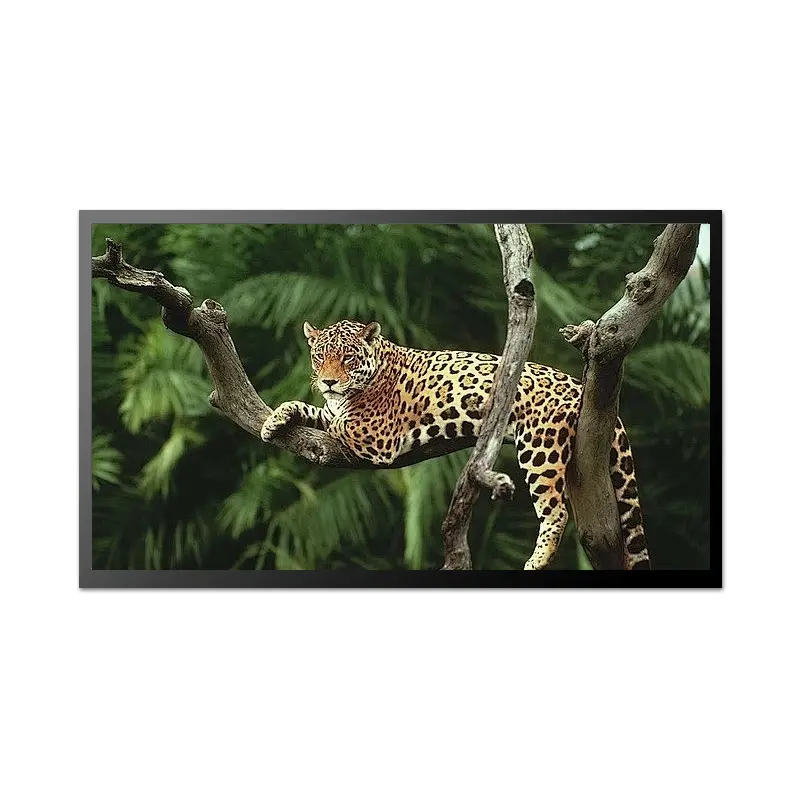23.8 Inch Wide Viewing FHD LCD Module for Outdoor Signage