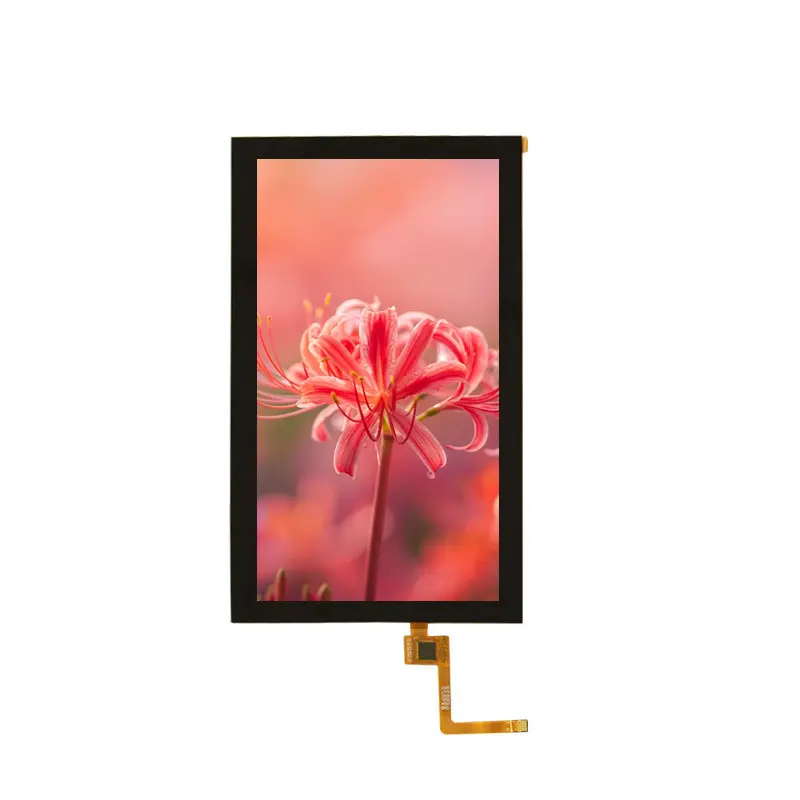 5.5 Inch MIPI TFT LCD Panel for Handheld Terminals