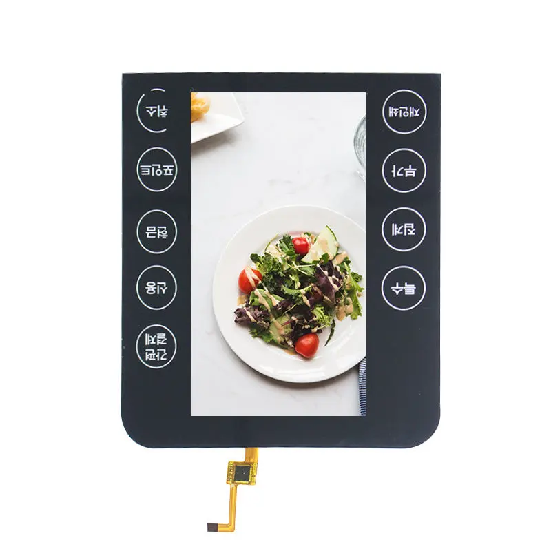 5.5 Inch GPS Navigation LCD Module with Capacitive Touch