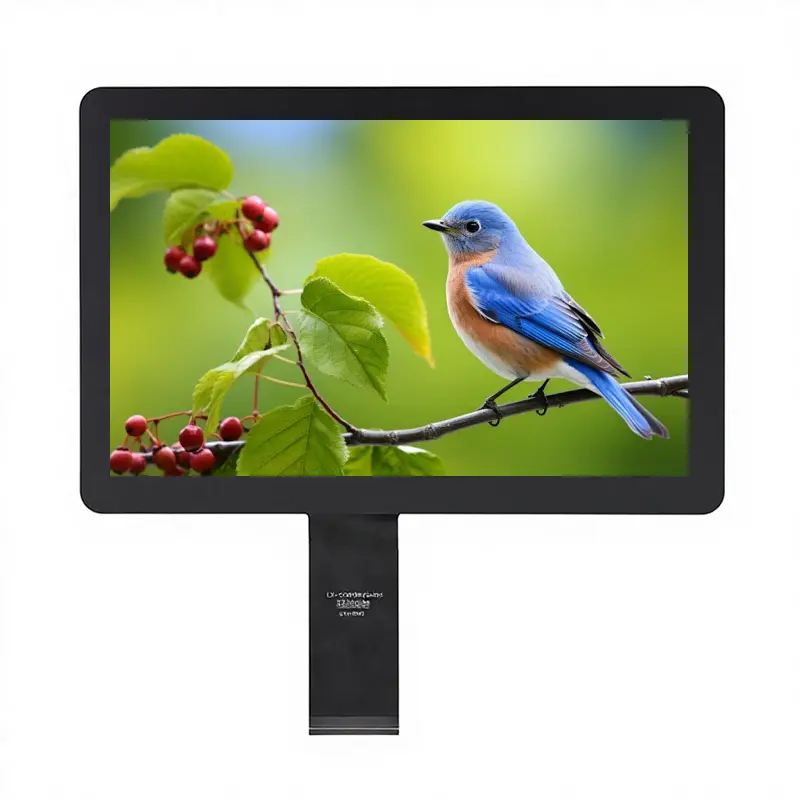 10.1 Inch Sunlight Readable Touch Display with LVDS