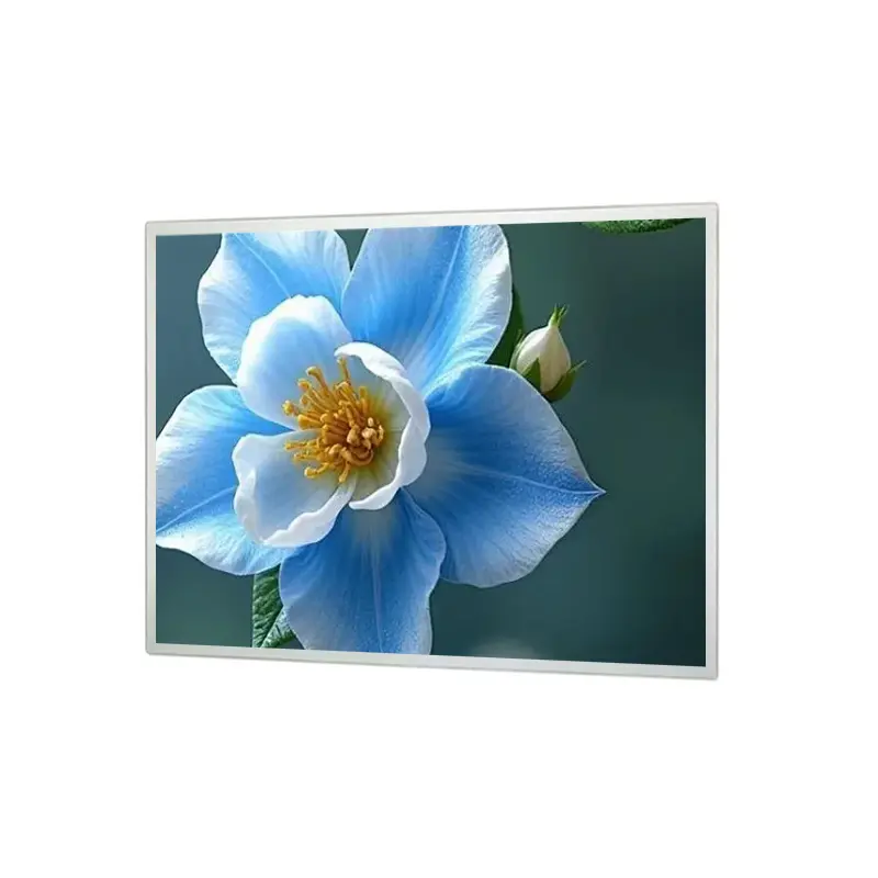15 Inch Outdoor Face Recognition TFT LCD Panel for Access Terminals