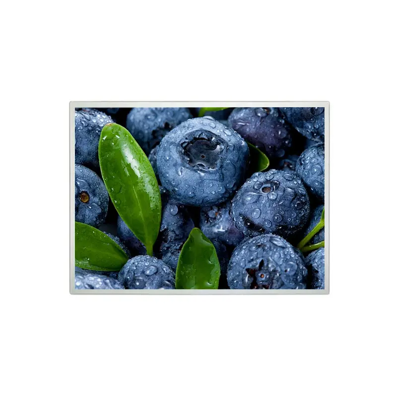 15 Inch Daylight Viewable TFT Panel for Charging Station HMIs