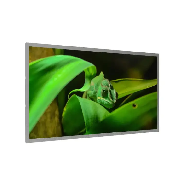 18.5 Inch Sunlight Readable LCD Panel Wide Temp for Outdoor Equipment