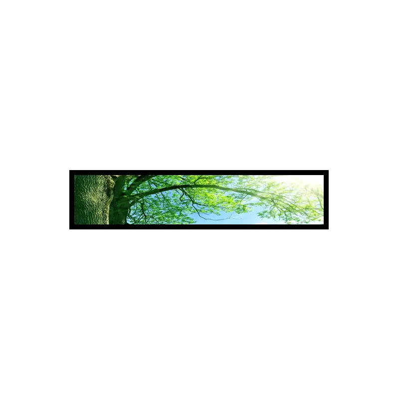 24 Inch Ultra Wide Stretched LCD Display for Shelf Edge Signage