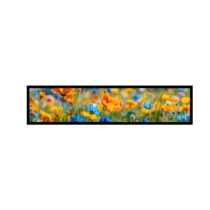 43 Inch High Luminance Stretched Signage LCD Module for Transit