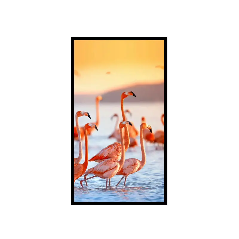 55 Inch Window Facing Digital Signage 4K 3000 Nits