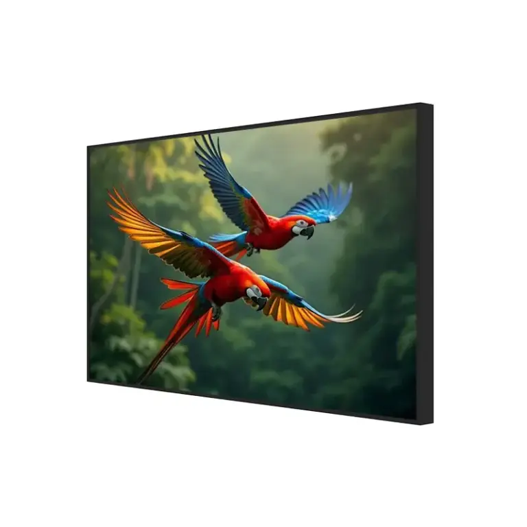 55 Inch Wide Temp High Brightness LCD Monitor for Retail Windows