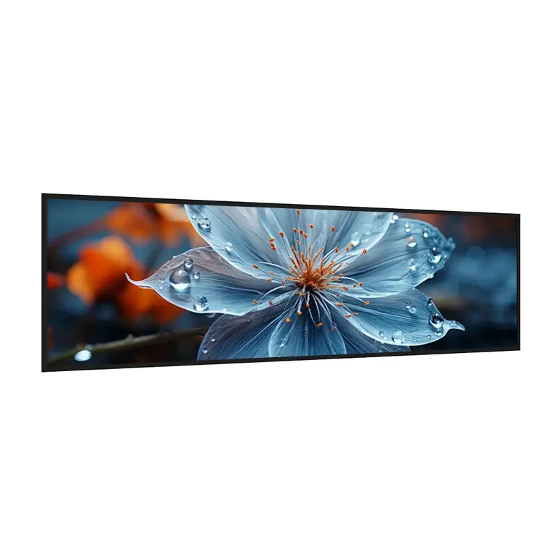 Featured product image of 56.6 Inch Shelf Edge LCD Display for Transport Signage, huisoar, HS566KVN01-GE15, 56.6 Inch Shelf
