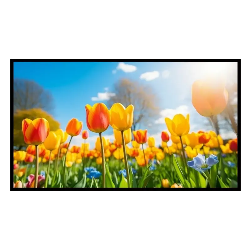 65 Inch Storefront Window Signage Display for Retail
