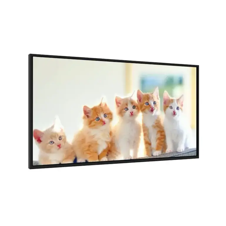 86 Inch 4K Interactive Display Panel High Brightness for Digital signage