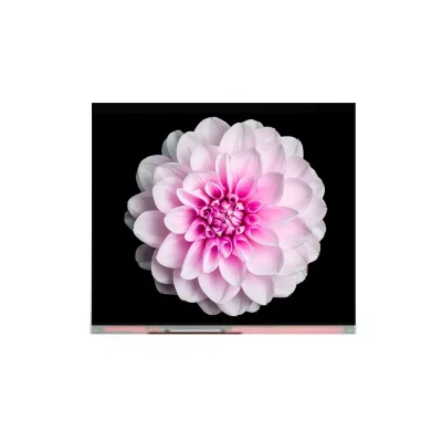 F080A66-602 Digital Photo Frame XGA Glass Cell Innolux