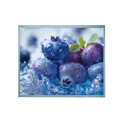 17 Inch High Brightness Industrial Outdoor Signage Screen for Kiosks
