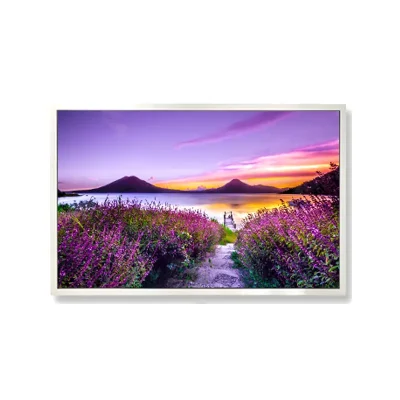 12.1 Inch Sunlight Readable LCD Module for Industrial Use