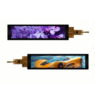 6.9 Inch Vertical Control Touchscreen Module for Appliances